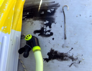 Octopus ink stains in our dinghy