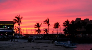 Sunset with palms in foreground