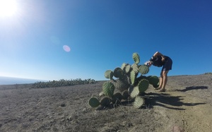 Walking up from landing place at Santa Barbara