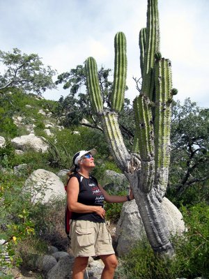 Barb standing alongside cactus