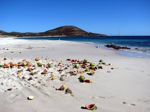 oranges, pineapple, mangoes, papayas discarded on the beach