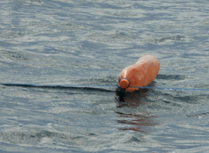 Closeup of Pop bottle marking fishing line