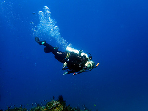 Barb dressed in SCUBA gear, floating above coral