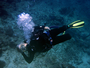 Barb in SCUBA gear floating sideways, facing up 