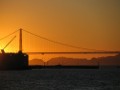Sunset behind Golden Gate Bridge with Pelicans