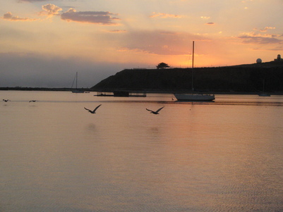 Sunset in Half Moon Bay Anchorage with Pelicans