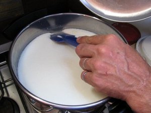 Testing Cheese curds for firmness